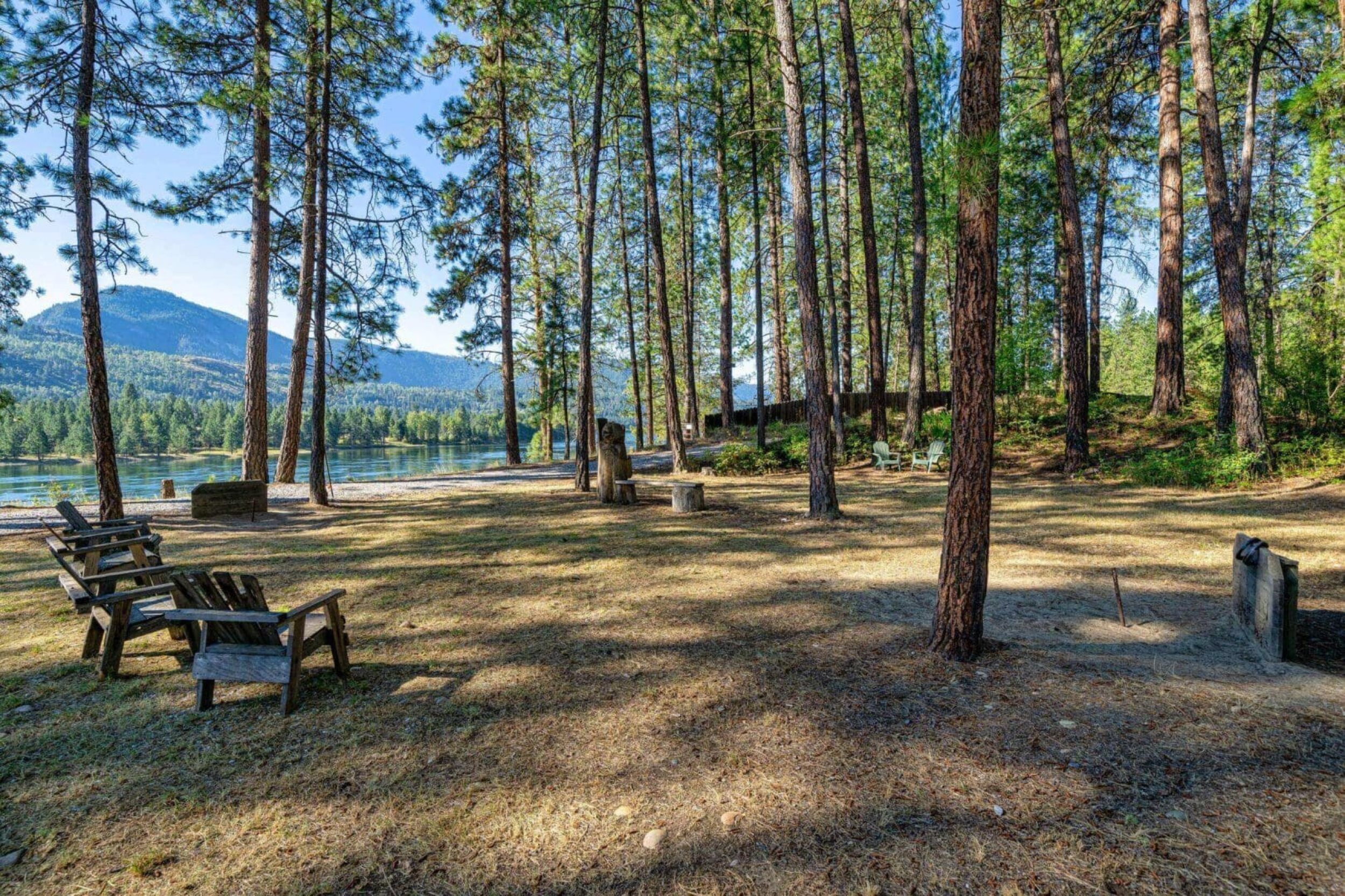 Forest clearing with wooden benches and trees.
