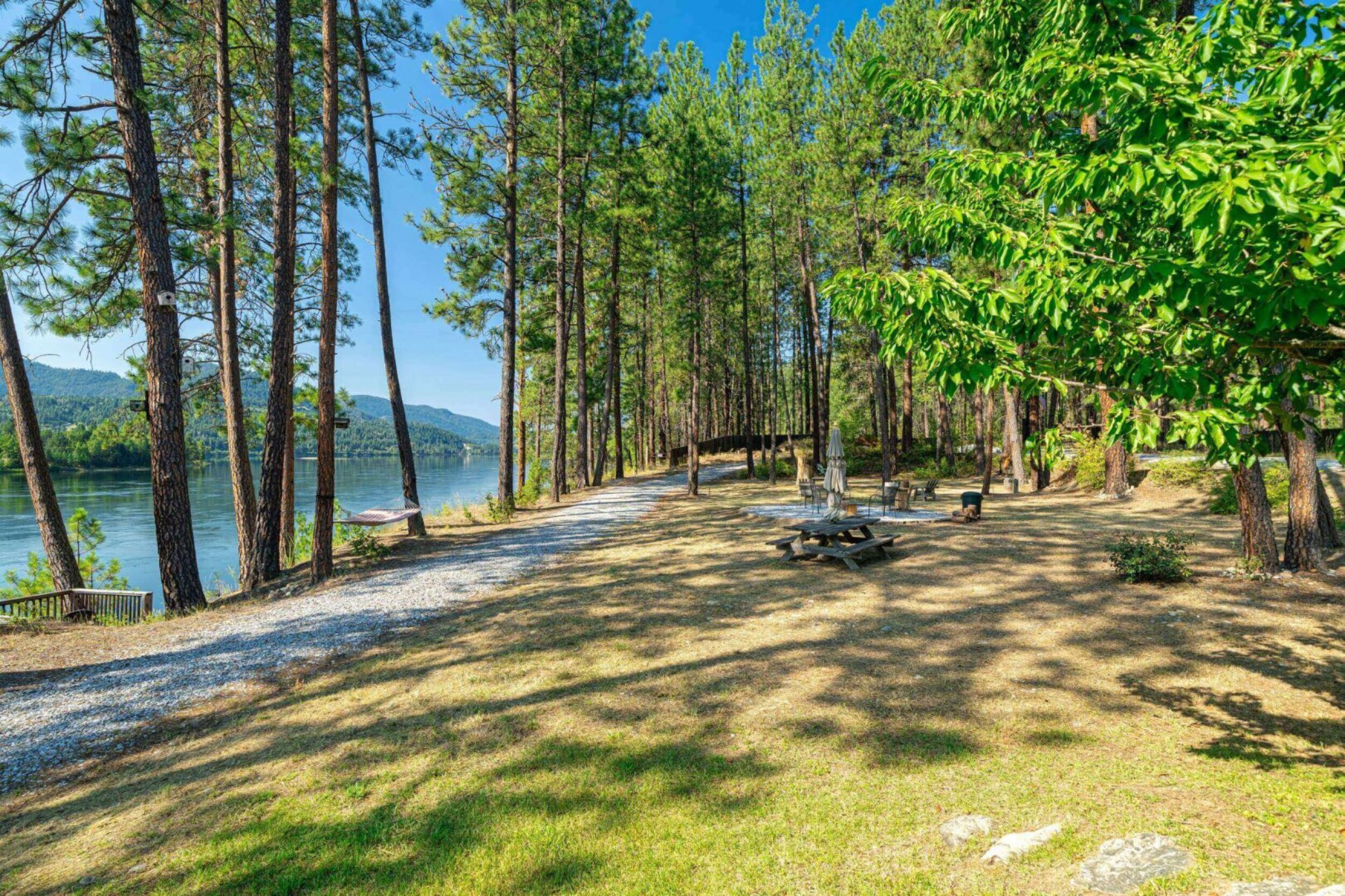 Forest lakeside with picnic tables and trees.